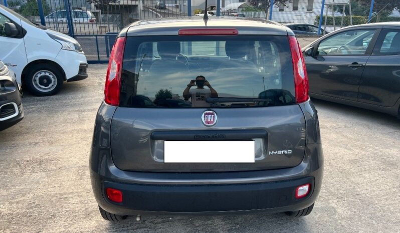 

								Fiat Panda 1.0 FireFly S&S Hybrid pieno
									