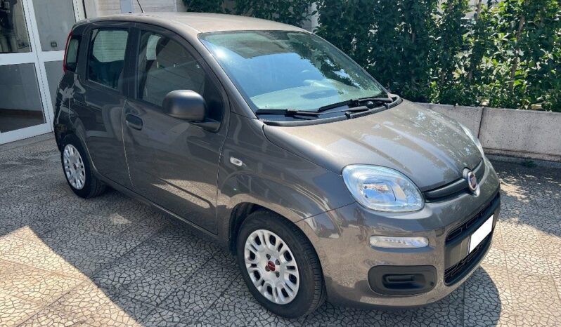 

								Fiat Panda 1.0 FireFly S&S Hybrid pieno
									