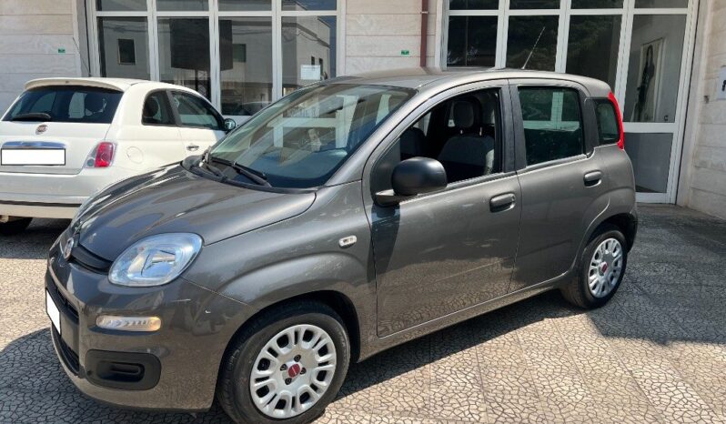 

								Fiat Panda 1.0 FireFly S&S Hybrid pieno
									