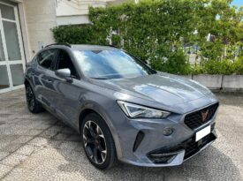 Cupra Formentor 2.0 TDI 4Drive DSG