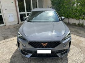 Cupra Formentor 2.0 TDI 4Drive DSG