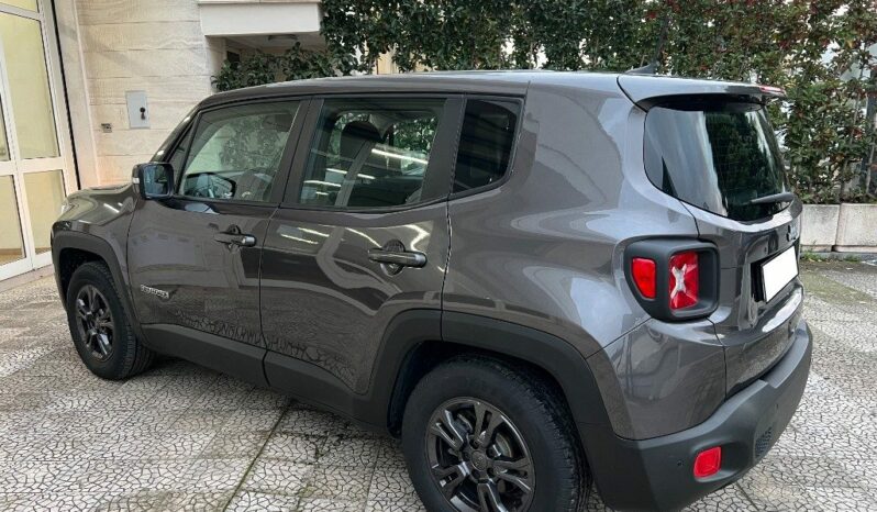 
								Jeep Renegade 1.6 Mjt 120 CV pieno									