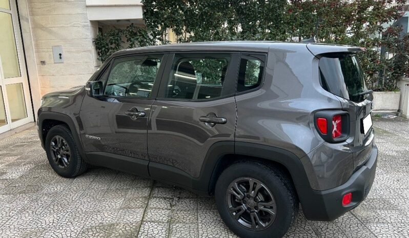 
								Jeep Renegade 1.6 Mjt 120 CV pieno									