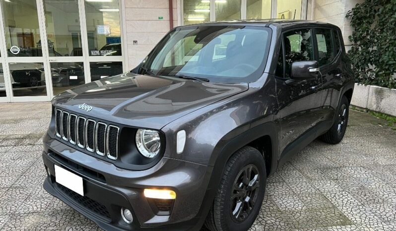 
								Jeep Renegade 1.6 Mjt 120 CV pieno									