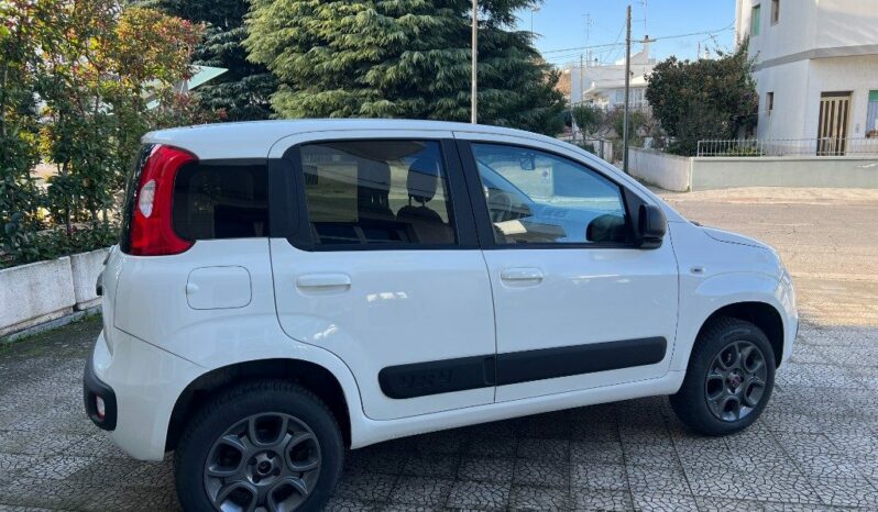 
								Fiat Panda 1.3 MJT 80 CV 4×4 pieno									